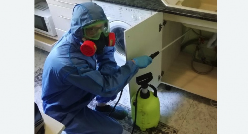 Уничтожение муравьев в квартире. Тогучин