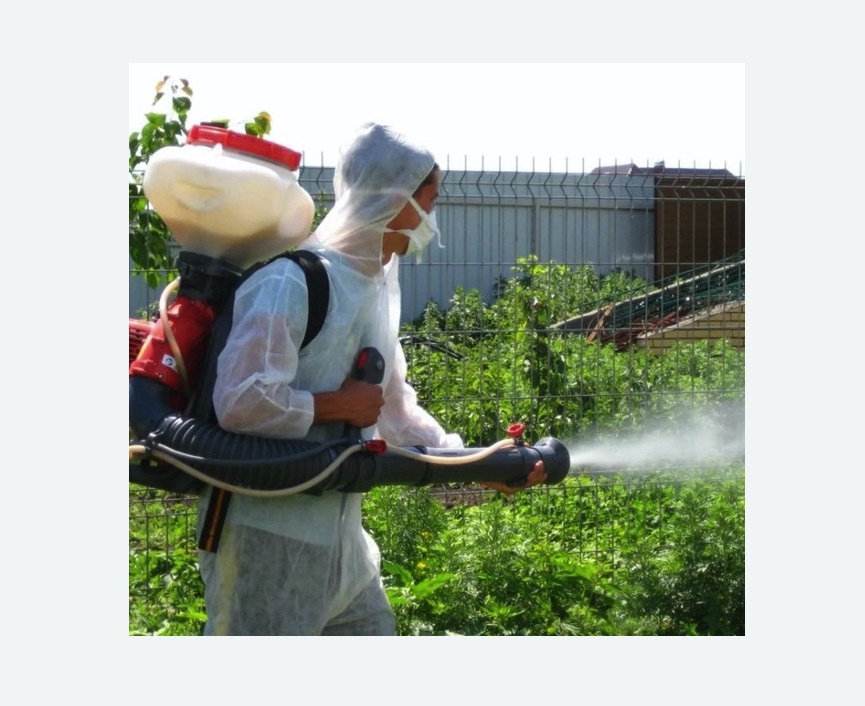 Акарицидная обработка территории в Тогучине