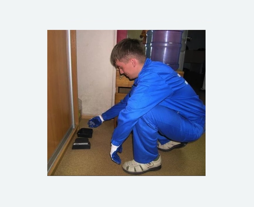 Дератизация крыс в Тогучине