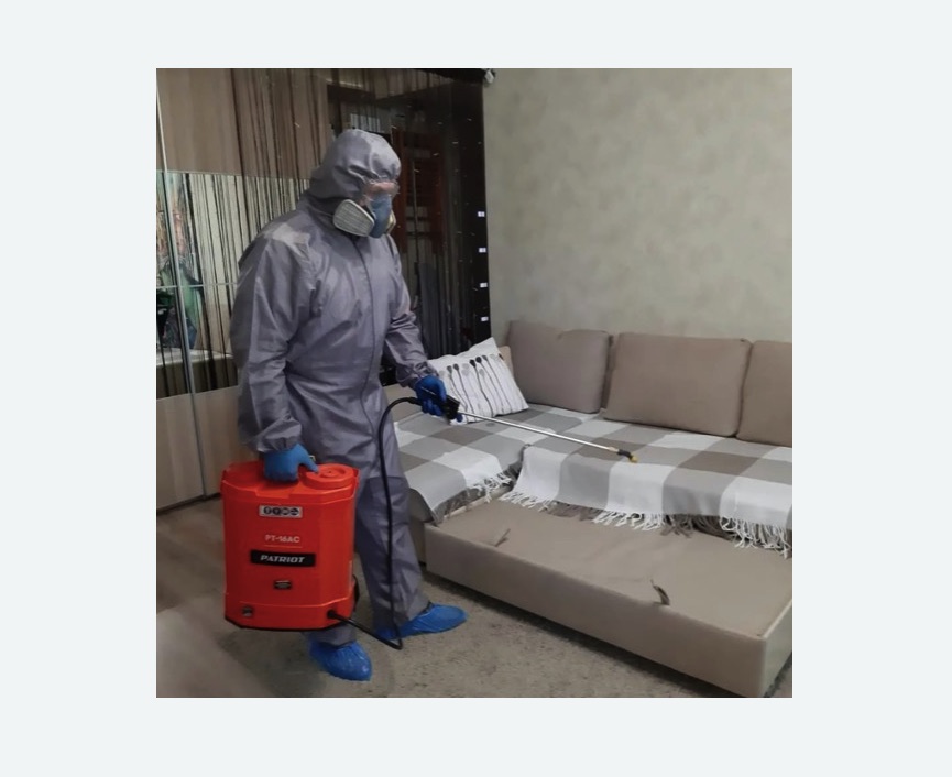 Обработка квартиры от блох в Тогучине Обработка квартиры от блох