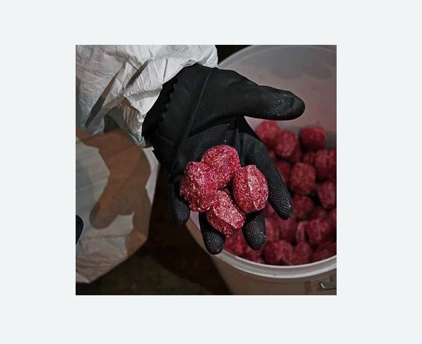 Обработка от крыс в Тогучине