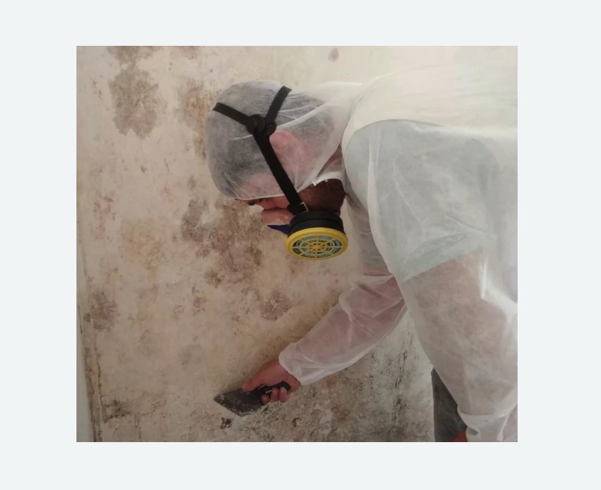 Обработка стен от плесени в Тогучине
