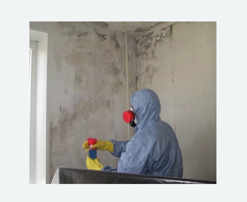 Удаление плесени в квартире в Тогучине