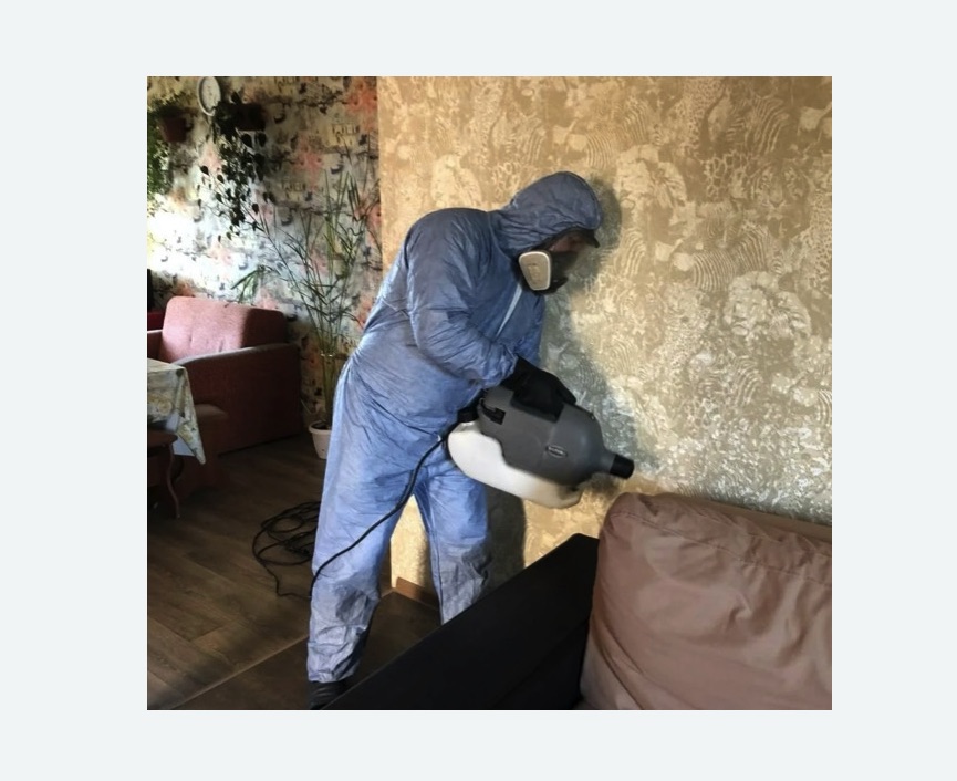 Уничтожение блох в квартире. Тогучин Уничтожение блох в квартире