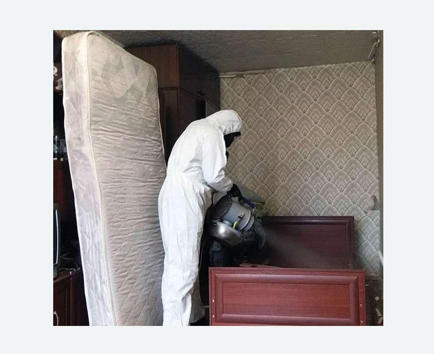 дезинфекция от клопов в Тогучине