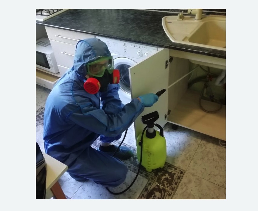 обработка от муравьев в квартире обработка от муравьев в квартире в Тогучине