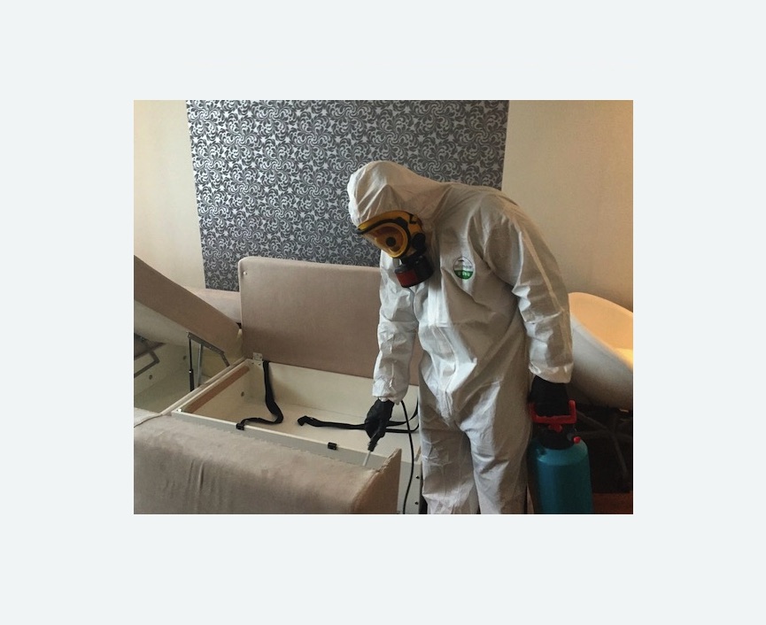 уничтожение клопов в квартире в Тогучине