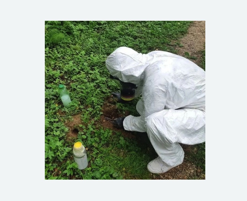 уничтожение кротов на участке в Тогучине