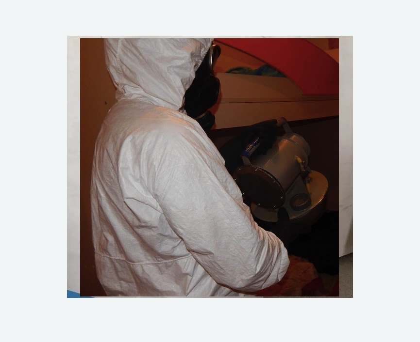 Дезинфекция от муравьев Дезинфекция от муравьев в Тогучине